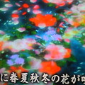 Photos: 今日のズムサタの特集【体験...