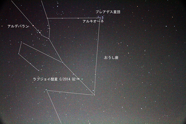 Photos: 1月13日　ラブジョイ彗星