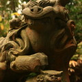 Photos: 221 館山神社の狛犬 川尻